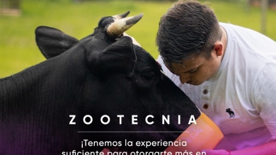 Ingeniería en Zootecnia, nueva propuesta de Columbia
