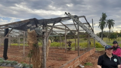 Reparaciones de las instalaciones de la explotación agropecuaria