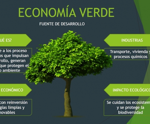 ¿Es factible la Economía Verde?