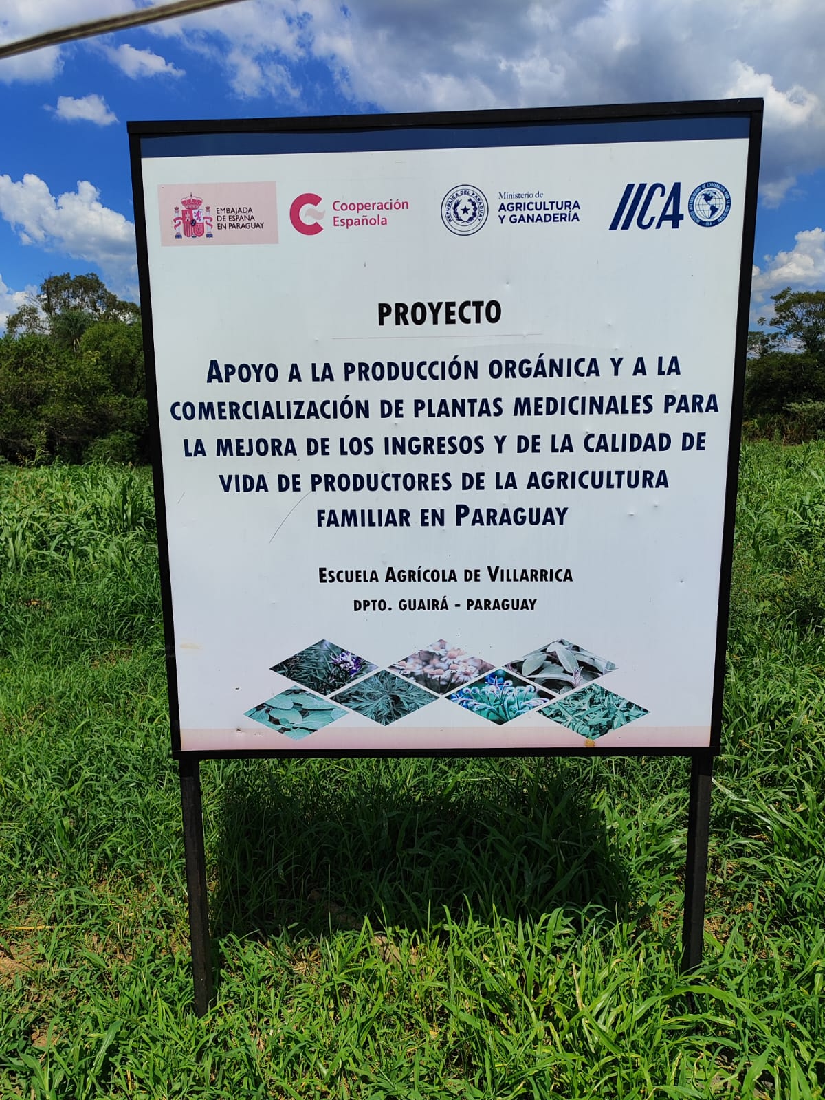 Imagen de persona