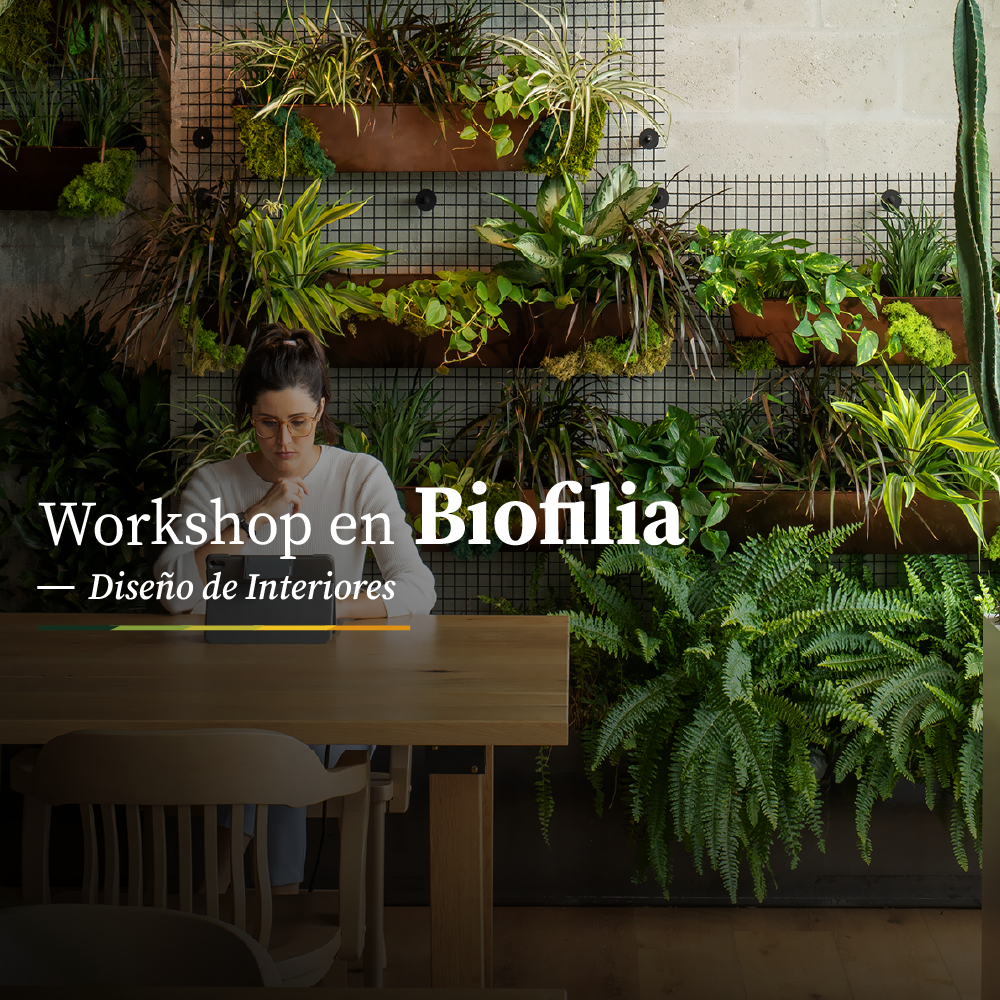 Workshop en Biofilia